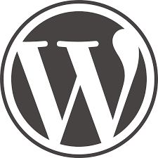 Small Size WordPress Website
